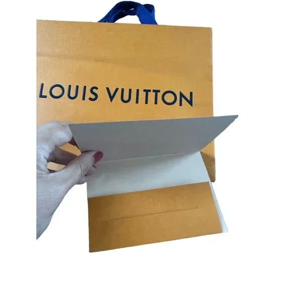LOUIS VUITTON Small Square Shopping Gift Bag - Picture 2 of 4